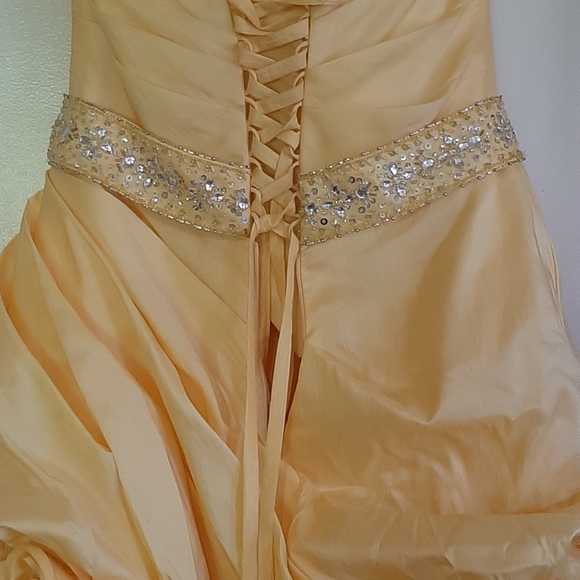 Prom Dress - Picture 3 of 4